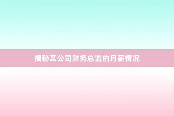 揭秘某公司财务总监的月薪情况